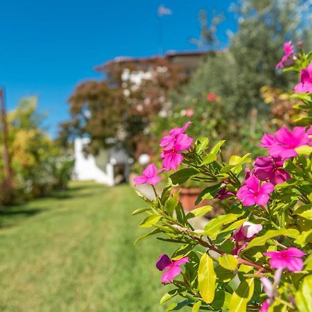Appartement Blooming Memories à Vourvourou Extérieur photo