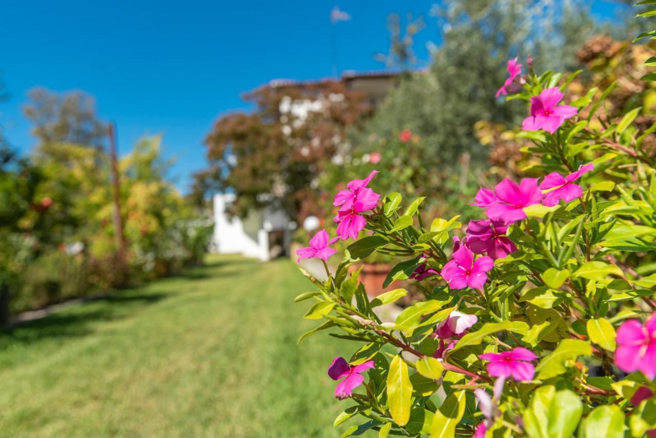 Appartement Blooming Memories à Vourvourou Extérieur photo